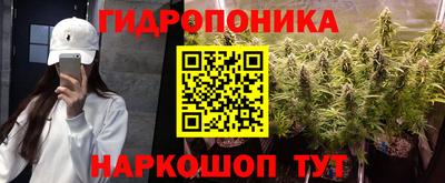 винт Можга