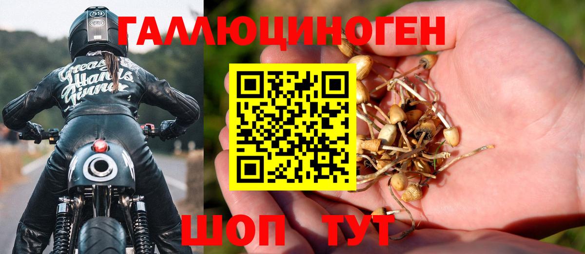 Трёхгорный  Псилоцибиновые грибы Psilocybine cubensis  Вход с VPN  Галлюциногенные грибы Psilocybe 