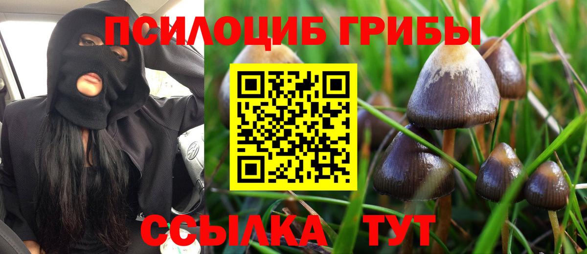 Псилоцибиновые грибы мухоморы Трёхгорный